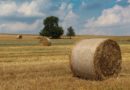Diffida preventiva, positiva novità per gli agricoltori lombardi