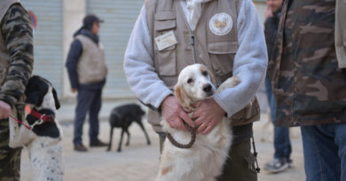 Trifolau e Cani da Tartufo