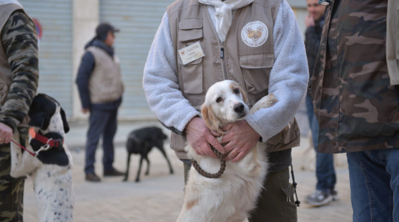 Trifolau e Cani da Tartufo