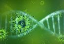 Emergenza Coronavirus, l’ordinanza della Regione Lombardia per bloccare i contagi