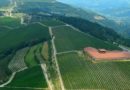 La Monte Zovo assicura tutti i dipendenti in caso di coronavirus