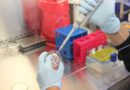 Ivermectin efficace contro il coronavirus? Forse sì, ma per i test serve tempo
