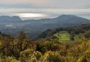 Distretto Montebaldo, bello e buono come il Bardolino DOC