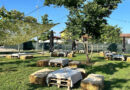Aperitivo picnic: L’Agricola ti sorprenderà!